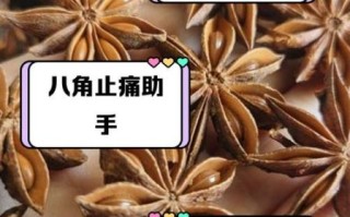 八角孕妇可以吃吗_孕妇吃八角对胎儿有影响吗