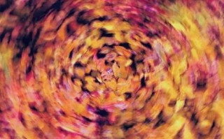 什么是转镜头_转镜头怎么拍