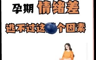 孕妇可以坐过山车吗_孕早期坐过山车风险