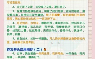 小学生作文怎么写_作文开头怎么写