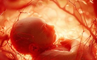 孕妇为什么容易感染梅毒_梅毒对胎儿的影响