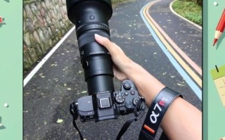 500mm镜头适合拍什么_如何发挥500mm长焦威力
