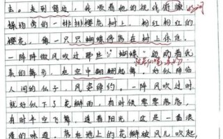 作文600字大全_如何写出高分作文