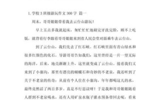去旅游作文怎么写_小学生300字范文
