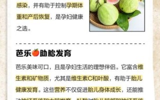 芭乐果孕妇可以吃吗_孕妇吃芭乐果的好处与禁忌