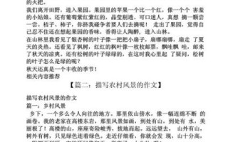 收稻谷作文怎么写_收稻谷作文开头怎么写