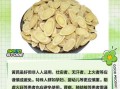 黄芪孕妇可以喝吗_黄芪泡水孕妇禁忌