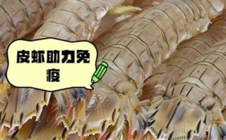 孕妇能吃皮皮虾吗_皮皮虾对孕妇的影响