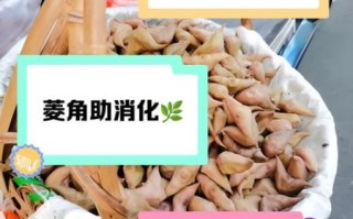 孕妇可以吃菱角吗_孕妇吃菱角注意事项