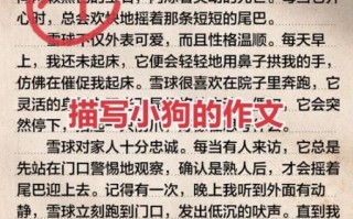 可爱的小狗作文怎么写_如何描写小狗的可爱之处