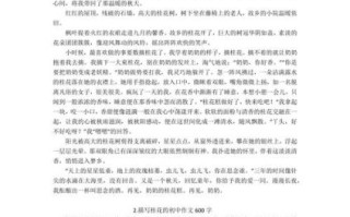初中作文600字怎么写_如何提高写作水平