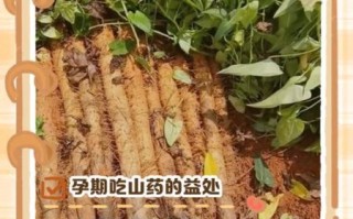 孕妇能吃山药吗_山药对胎儿的好处