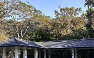 云浮南山公园有什么好玩的_云浮南山公园门票多少钱