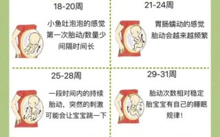 孕妇4个月有胎动吗_胎动最早什么时候出现