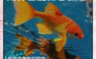 孕妇梦见金鱼死了_梦见金鱼死了预示什么