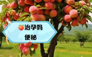 孕妇可以吃桃子吗_孕期吃桃子的好处