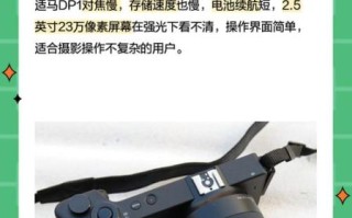 dp1镜头画质怎么样_dp1镜头适合拍什么