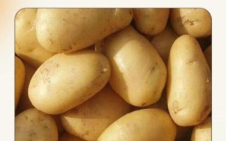 孕妇能吃土豆吗_怀孕吃土豆注意事项