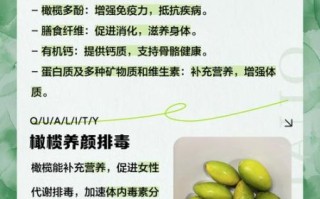 孕妇可以吃橄榄吗_孕期吃橄榄的好处与禁忌