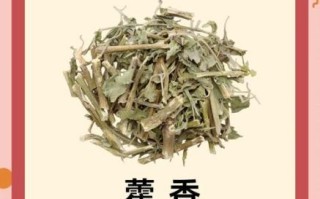 孕妇能吃藿香吗_孕妇吃藿香安全吗