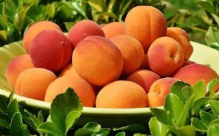 孕妇梦见大饼是什么意思_孕妇梦见大饼生男生女