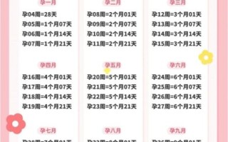 孕妇一周是多少天_孕期周数怎么算