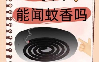 孕妇可以用蚊香吗_蚊香对孕妇的影响