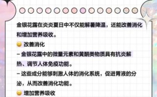 金银花露孕妇可以喝吗_孕期饮用金银花露的注意事项