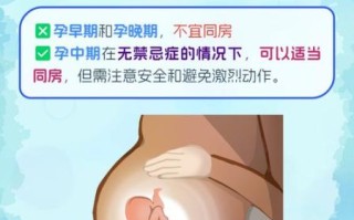 孕妇同房视频_怀孕几个月可以同房