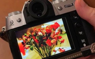 1455镜头适合拍什么_1455镜头画质怎么样