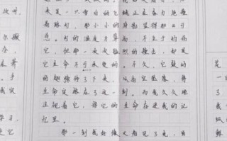 跨越作文600字怎么写_跨越作文600字优秀范文