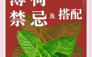 孕妇能吃薄荷吗_孕妇吃薄荷对胎儿有影响吗