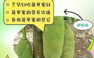 孕妇能吃菠萝蜜吗_孕妇吃菠萝蜜的注意事项