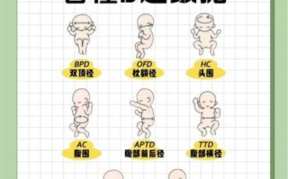 孕妇做b超需要憋尿吗_孕早期b超注意事项