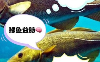 孕妇可以吃鳕鱼吗_鳕鱼对孕妇的好处与风险