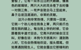 我家的小狗作文怎么写_三年级300字范文