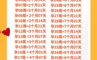 孕妇几个月显怀_显怀早晚与什么有关