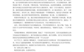 初中生如何写好700字作文_作文700字初中写作技巧