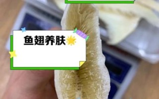 孕妇能吃鱼翅吗_鱼翅对孕妇的好处与风险