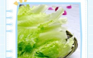 孕妇能吃生菜吗_生菜对胎儿有影响吗