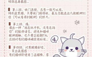 为什么猫咪总躲镜头_怎么拍才不跑