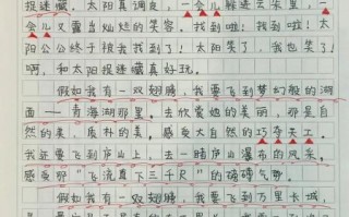 假如我有什么作文怎么写_小学生想象作文技巧