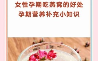 燕窝孕妇可以吃吗_孕妇吃燕窝对胎儿好吗