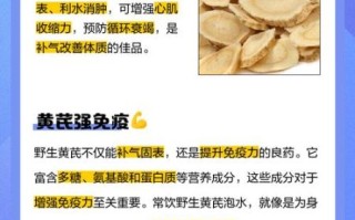 孕妇可以喝黄芪水吗_黄芪水对胎儿有影响吗