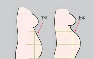 孕妇肚子变化视频_怀孕几个月开始显怀