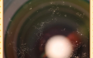 镜头长霉怎么处理_镜头长霉会损坏镜片吗