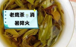 孕妇可以喝老鹰茶吗_孕期喝老鹰茶对胎儿有影响吗