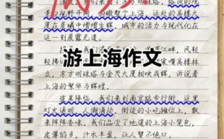 上海游记怎么写_上海游记作文800字范文
