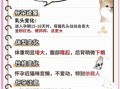 孕妇可以养猫吗_怀孕养猫注意事项