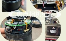 单反镜头晃动有声音_怎么回事